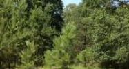Lot 164 Camden, AR 71701 - Image 5911557