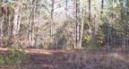 Lot 13 Pine Hills Camden, AR 71701 - Image 5911555