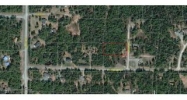 33443 Torwick Circle Soldotna, AK 99669 - Image 5966354