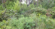 220 Black Knob Falls Drive Ranger, GA 30734 - Image 5973889