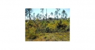 LOT 9 HICKORY RIDGE ESTATES Leesville, LA 71446 - Image 5976464