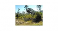 LOT 11 HICKORY RIDGE ESTATES Leesville, LA 71446 - Image 5976463