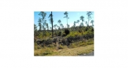 LOT 8 HICKORY RIDGE ESTATES Leesville, LA 71446 - Image 5976466