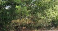 Howell Cove #0 Talladega, AL 35160 - Image 5984577