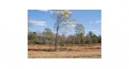 Lot 16 County Road 539 Enterprise, AL 36330 - Image 6026083