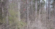 0 Hill City Road Jasper, GA 30143 - Image 6043786