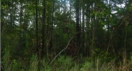 22 ROLLINGWOOD DR Moncks Corner, SC 29461 - Image 6150774