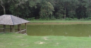 43 Falling Water Blvd Fairhope, AL 36532 - Image 6165994