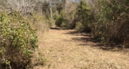 2 Callaway Drive Fairhope, AL 36532 - Image 6166003