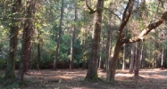 114 Sweetwater Lane Fairhope, AL 36532 - Image 6166006