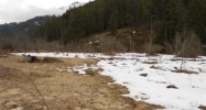 301 Antelope Loop Clark Fork, ID 83811 - Image 6182975