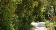 27935 W Winding Way Malibu, CA 90265 - Image 6199513
