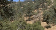 Jack Springs Rd, lot 13 Tehachapi, CA 93561 - Image 6300970