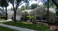 6616 APPALOOSA DR Tampa, FL 33625 - Image 6334450
