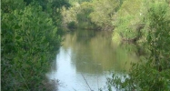 0 WALKING HORSE LN #LOT E Hollywood, SC 29449 - Image 6369515