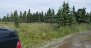 50495 Buoy Avenue Kenai, AK 99611 - Image 6377862