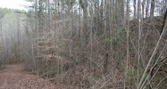 53 Mountain Creek Hollow Talking Rock, GA 30175 - Image 6472556