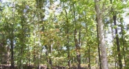137 White Antelope Street Waleska, GA 30183 - Image 6477739