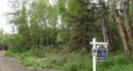 5901 Holden Drive Anchorage, AK 99516 - Image 6480414