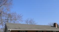 501 S. Curlew Rd - Image 6506963
