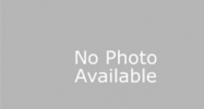 200 Woodette Dr #203d Dunedin, FL 34698 - Image 6507909