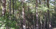 109 Toochalar Court Waleska, GA 30183 - Image 6542156