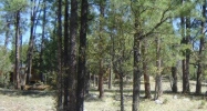 Lot 44 Hunter Creek Payson, AZ 85541 - Image 6549541