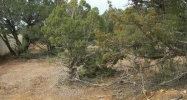 1606 W. Dalton Payson, AZ 85541 - Image 6549547