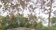 4037 Bunnell Dr Jacksonville, FL 32246 - Image 6583878