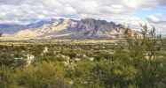 9893 N Rabwa Tucson, AZ 85742 - Image 6609098