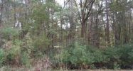 8606 Scottish Troon Ct. North Charleston, SC 29420 - Image 6674109