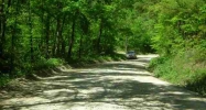 Tract 1 Cr 65 Calico Rock, AR 72519 - Image 6763200