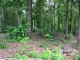 Lot 95 Keowee Falls South Town  Apn Salem, SC 29676 - Image 6809784