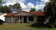 10842 Wheaton Ct Orlando, FL 32821 - Image 6927364