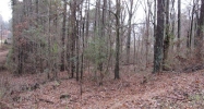 0 Lakeview Drive #52 Alpine, AL 35014 - Image 6955152