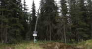 36062 Tremolo Circle #8 Soldotna, AK 99669 - Image 6956634