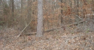 0 Gallatin Drive Lot# 1 Anniston, AL 36206 - Image 7018372