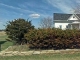 State Route 37 Sunbury, OH 43074 - Image 7050966