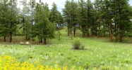 120 Timber Croft Florissant, CO 80816 - Image 7117826