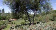 23 Lot Twist Rd. Jamestown, CA 95327 - Image 7137507