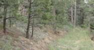 0 Antler Dr Boulder, CO 80302 - Image 7200923