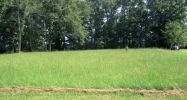 15 Lake Vista Drive Rainbow City, AL 35906 - Image 7258946