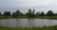 6704 County Road 675 E Bradenton, FL 34211 - Image 7279654