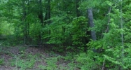 48 Cheaha Crossing #26 Oxford, AL 36203 - Image 7284961