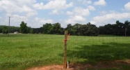 0 Hwy 51 N Homer, GA 30547 - Image 7363823