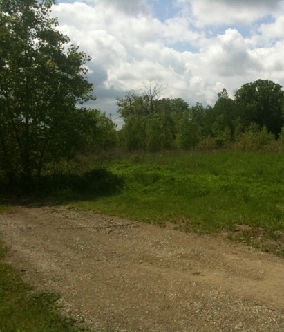 0, Lansing Road, Charlotte - Image 7373760