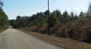 N/A AB Stubbs Road Highway 54 Ozark, AL 36360 - Image 7387693