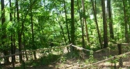 337 FRONTIER ROAD Arab, AL 35016 - Image 7387879