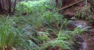 0 Iversen Dr Point Arena, CA 95468 - Image 7390699