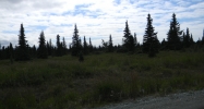 35045 Beluga Street Kenai, AK 99611 - Image 7451060